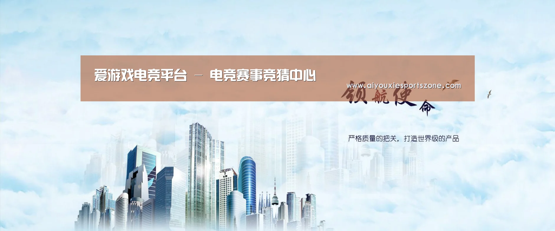 爱游戏体育公司