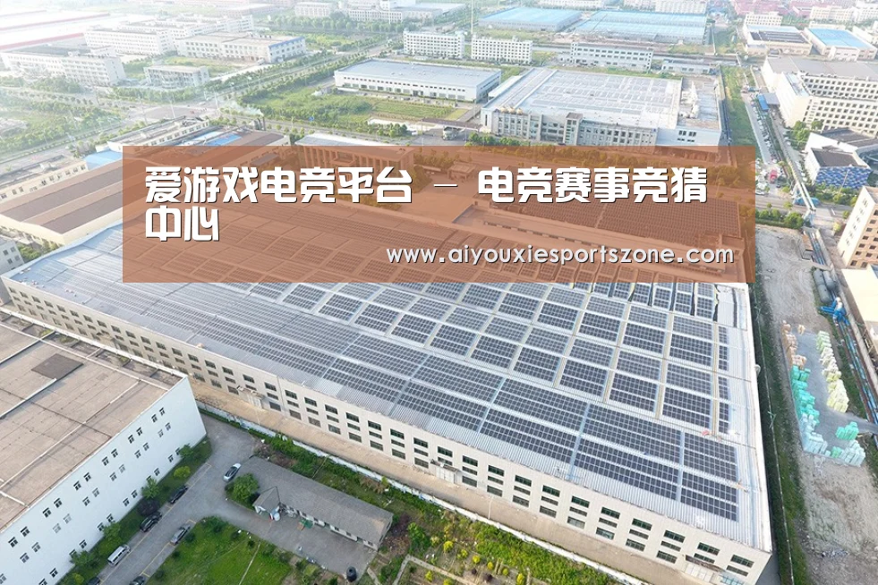 案例展示二